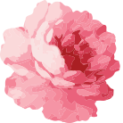 Pink Spray rose corsage